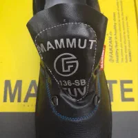 کفش ایمنی کار