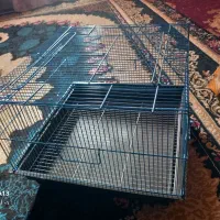قفس خرگوش و خوکچه و گربه