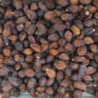 ریزه خاصویی