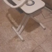 اتو پرس اصل