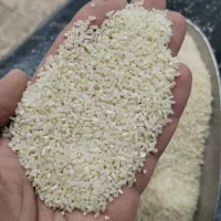 نیم دانه هاشمی دودی عمده