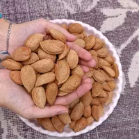 بادام سنگی تو پر و درشت