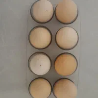 تخم مرغ نطفه دار گلین