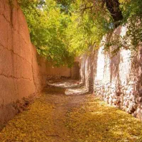 تجاری ومسکونی 220متر خیابان مطهری