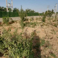 باغچه-755-متری-نظراباد