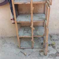 جفتکن کفتر۸۰۰تومن|لوازم جانبی حیوانات|رودهن, |دیوار