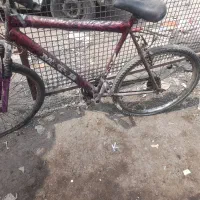 دوچرخه MTB اصل هفت دنده ۲۶|دوچرخه، اسکیت، اسکوتر|تهران, علی‌آباد|دیوار
