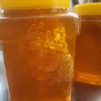 عسل گون گز و انواع عسل طبیعی( ۴۰ گیاه و..)