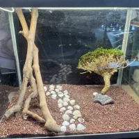 اکواریوم شیشه خم