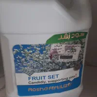 فروت ست با قیمت همکاری مناسب موجوده