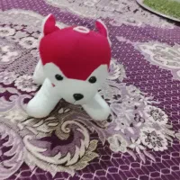 عروسک|اسباب‌‌بازی|باسمنج, |دیوار