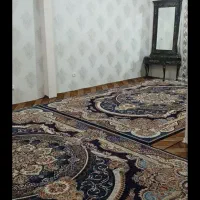 اسکان رایگان در تهران|فعالیت داوطلبانه|تهران, مینابی|دیوار