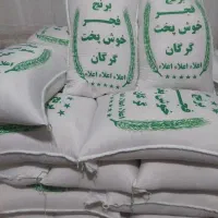 برنج فجرگرگان