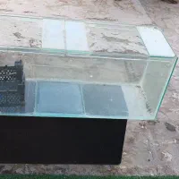 آکواریوم