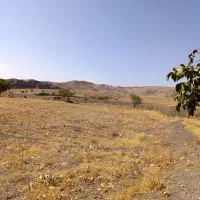 فروش زمین کشاورزی در دریان|فروش دفتر صنعتی، کشاورزی، تجاری|شبستر, |دیوار