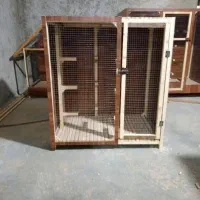 تولید انواع قفس چوبی لانه نی بندی توری خونه|لوازم جانبی حیوانات|قم, شاه ابراهیم|دیوار