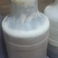 فروش عسل کنار|خوردنی و آشامیدنی|لیکک, |دیوار