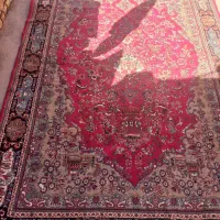 قالی ۶ متری