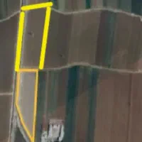 اجاره زمین کشاورزی گندم