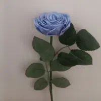 شاخه گل رز روبانی