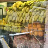 نیروی آبمیوه بستنی ماهر