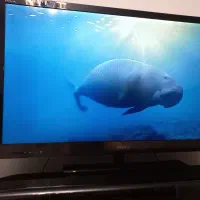 تلویزیون سونی چهل اینچ|تلویزیون و پروژکتور|کرج, گلشهر|دیوار