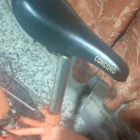 دوچرخه سایز ۲۰ دخترانه|دوچرخه، اسکیت، اسکوتر|گنبد کاووس, |دیوار