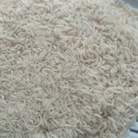 برنج هاشمی گیلان