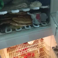 ی یخچال ب فروش می‌رسد