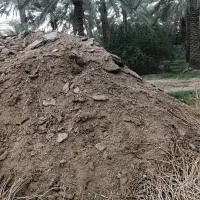 خاک حیوانی گاو|خدمات باغبانی و درختکاری|بم, |دیوار