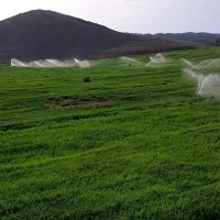 اجاره-زمین-کشاورزی