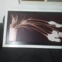 تابلو زیبا وشیک