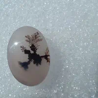 نگین شجر|جواهرات|اقبالیه, |دیوار