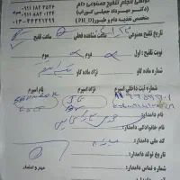 گاو  هلشتاین حامله|حیوانات مزرعه|رشت, بازار|دیوار