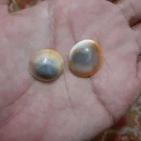 حرز حل مشکلات|جواهرات|زاهدان, |دیوار