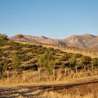 فروش|فروش خانه و ویلا|بانه, |دیوار