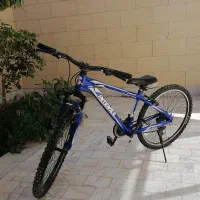 دوچرخه خونگی و خوش رکاب، رنگ زیبای آبی