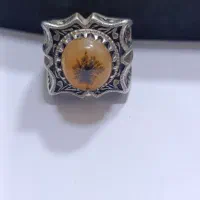 گردنی شجر فوق کلکسیونی نیست در جهان|کلکسیون اشیاء عتیقه|صباشهر, |دیوار