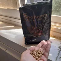۲ عدد همستر نر دستی|موش و خرگوش|اصفهان, خلیل آباد|دیوار
