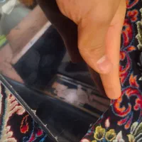 شیامی نوت ۸|موبایل|بومهن, |دیوار