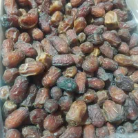 خرماربی وزرداموجود