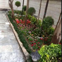 انجام خدمات باغبانی وگیاهان آپارتمانی|خدمات باغبانی و درختکاری|قم, شهرک قدس|دیوار