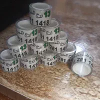 1 پلاک کبوتر زاجر پلاکی زرهی پلیمری