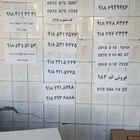 ۰۹۱۸۹۷۴۰۹۲۲|سیمکارت|بانه, |دیوار