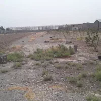 ۹هزار متر چهار دیواری زمین و باغچه و گلخونه|فروش زمین و ملک کلنگی|پاکدشت, پاکدشت (مامازند)|دیوار