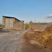 دام داری روستای مالک اباد