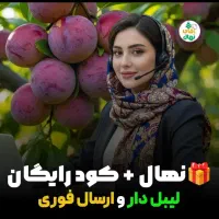 فروش نهال های پر مثمر