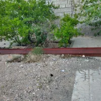 تیرآهن 28 بال پهن