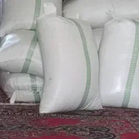 شالی دم‌سیاه بذری