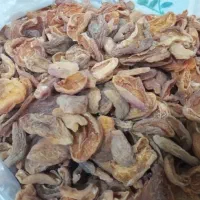 برگه زردآلو